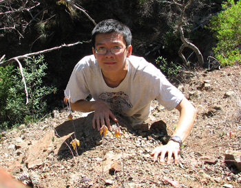 Nhu Nguyen on an outing with Calochortus raichei